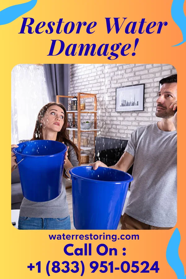 water restoration Disaster Cleanup Inc Washburn