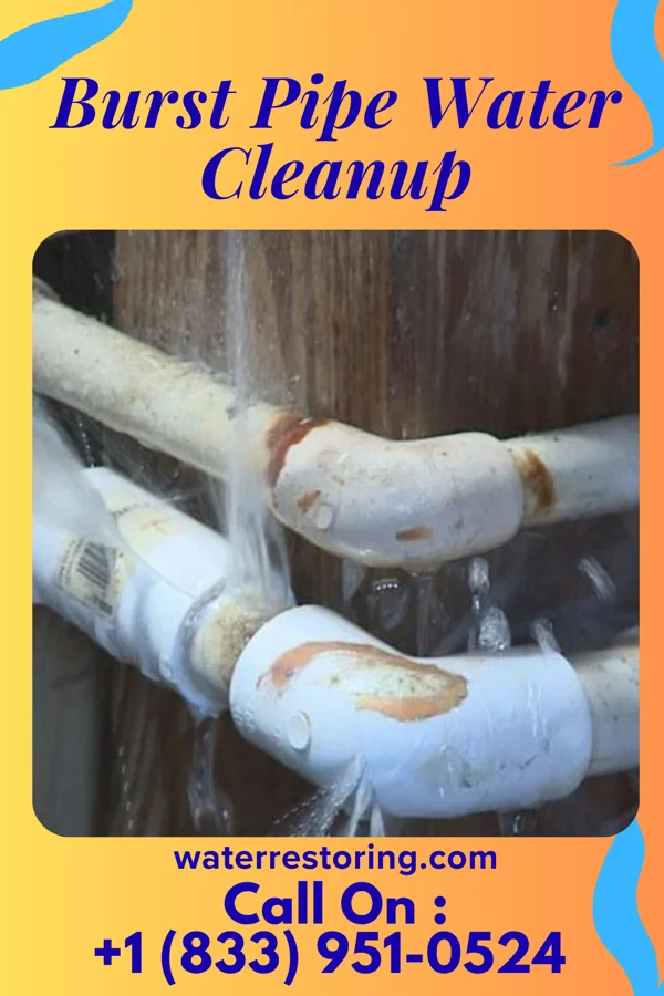 Burst Pipe Water Cleanup in Washburn, TX